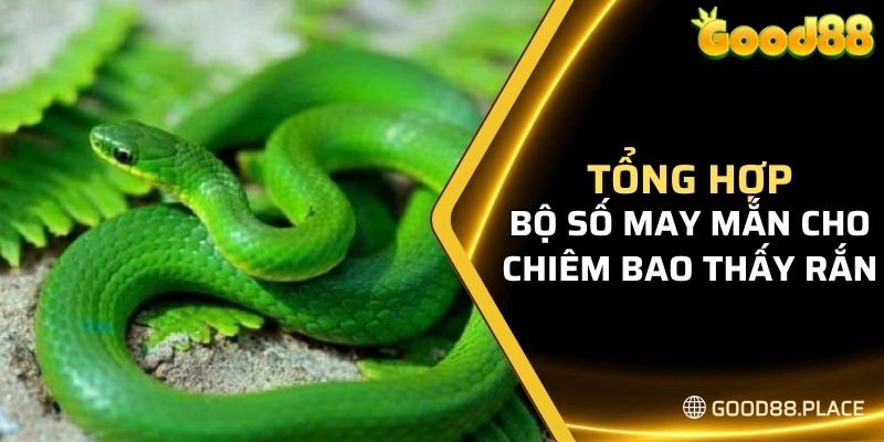 Giải Mã Giấc Mơ Thấy Rắn Và Gợi Ý Bộ Số May Mắn Nhất 2024 6 Tổng hợp bộ số may mắn đối với từng chiêm bao thấy rắn